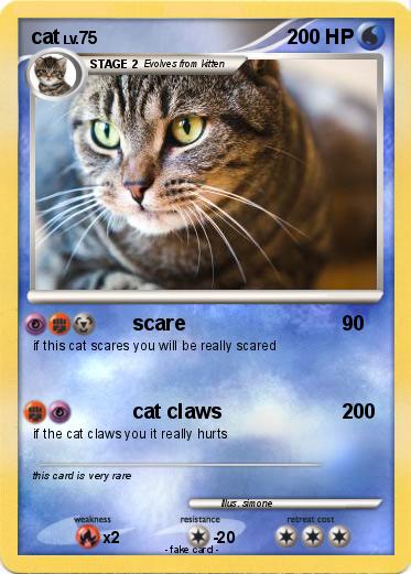 Pokemon cat