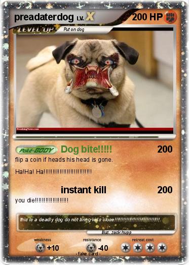 Pokemon preadaterdog