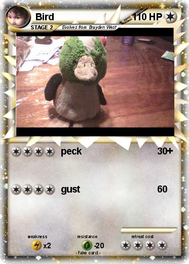 Pokemon Bird