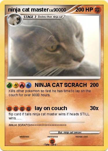 Pokemon ninja cat master