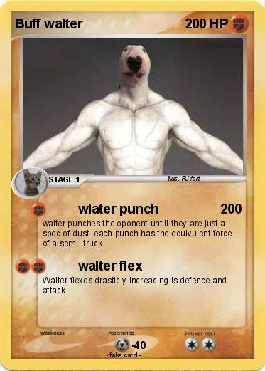 Pokemon Buff walter