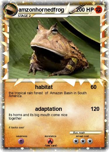 Pokemon amzonhornedfrog
