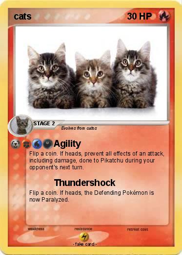 Pokemon cats