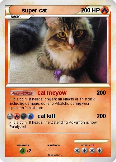 Pokemon super cat