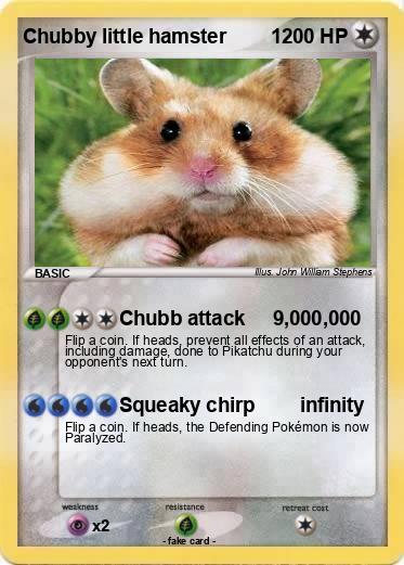 Pokemon Chubby little hamster        1