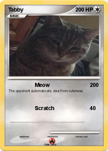 Pokemon Tabby