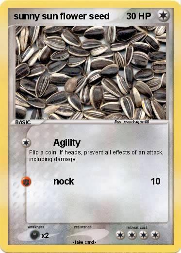 Pokemon sunny sun flower seed