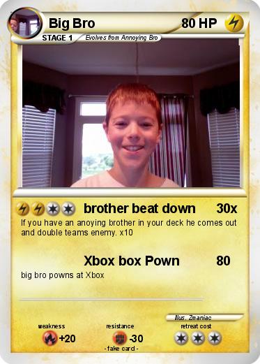 Pokemon Big Bro