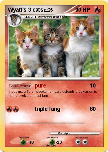 Pokemon Wyatt's 3 cats