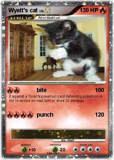 Pokemon Wyatt's cat