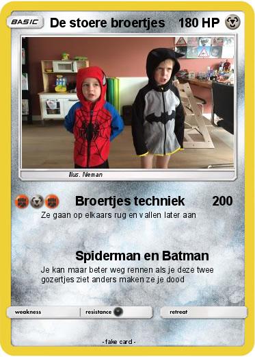 Pokemon De stoere broertjes