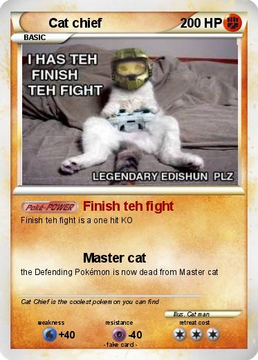 Pokemon Cat chief