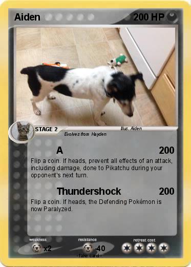 Pokemon Aiden