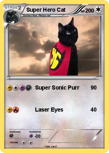 Pokemon Super Hero Cat