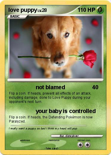 Pokemon love puppy