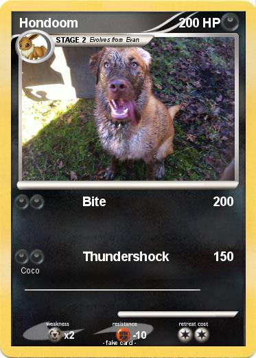 Pokemon Hondoom