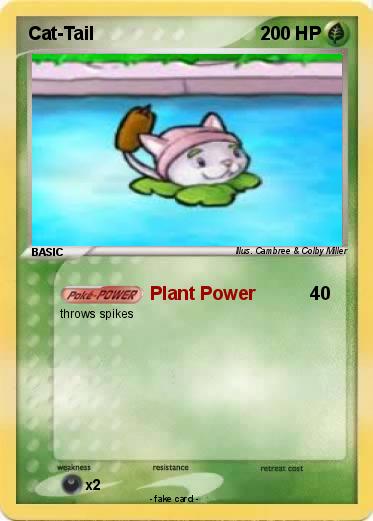 Pokemon Cat-Tail