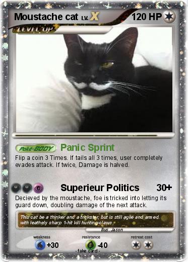 Pokemon Moustache cat