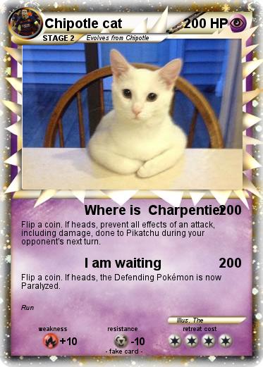 Pokemon Chipotle cat