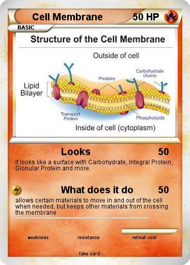 Pokemon Cell Membrane