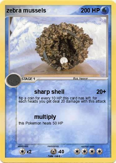 Pokemon zebra mussels