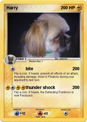 Pokemon Harry