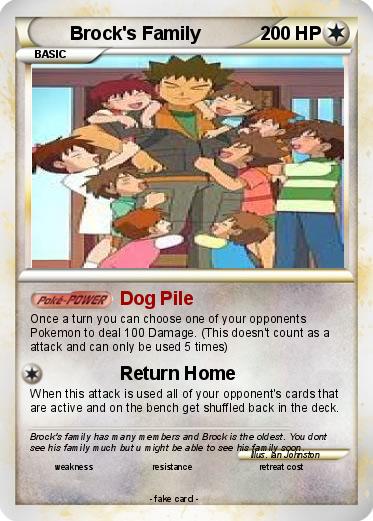 Pokemon Brock's Family