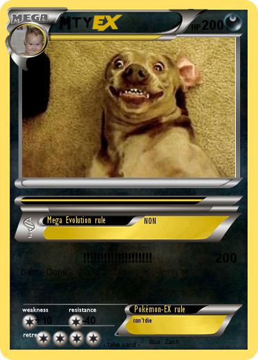 Pokemon TY