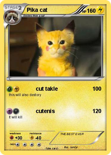 Pokemon Pika cat
