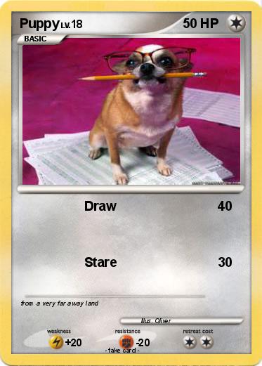Pokemon Puppy