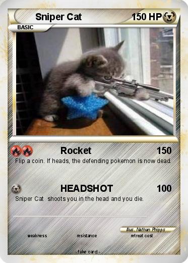 Pokemon Sniper Cat