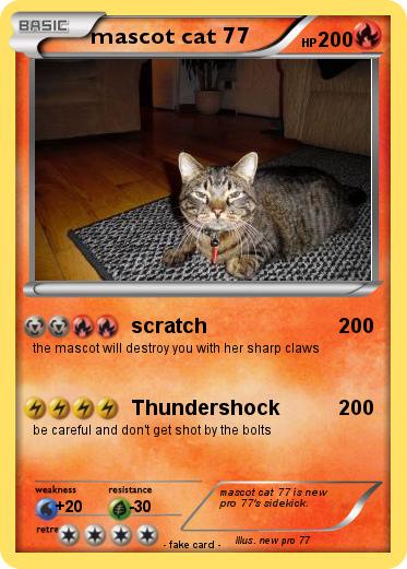 Pokemon mascot cat 77