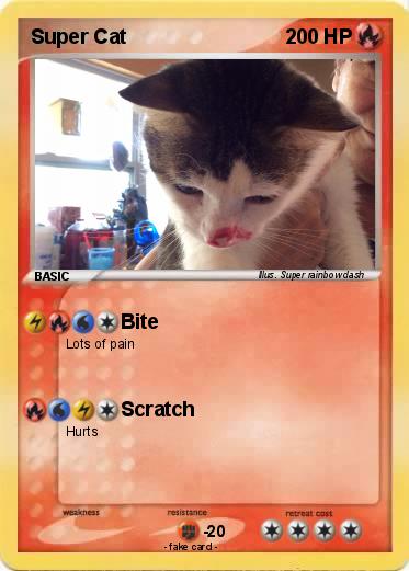 Pokemon Super Cat