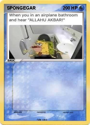 Pokemon SPONGEGAR