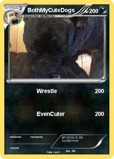 Pokemon BothMyCuteDogs