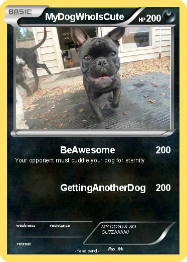 Pokemon MyDogWhoIsCute