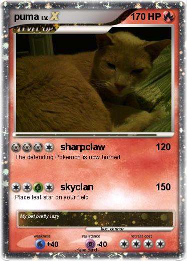 Pokemon puma