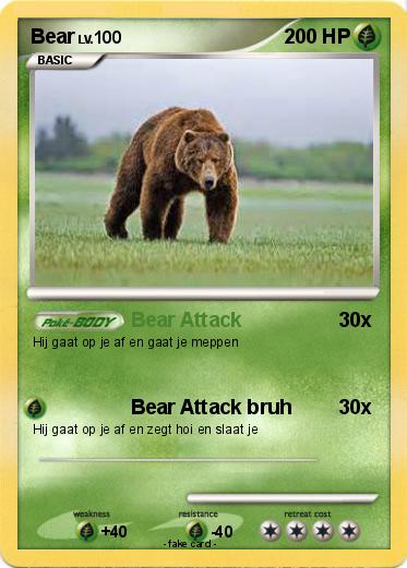Pokemon Bear