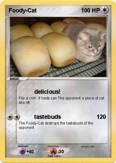 Pokemon Foody-Cat