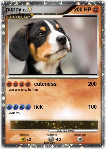 Pokemon puppy