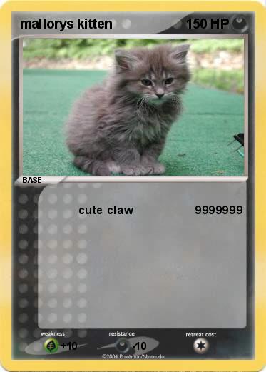 Pokemon mallorys kitten