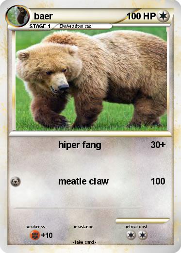 Pokemon baer