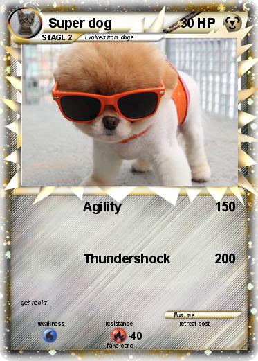 Pokemon Super dog