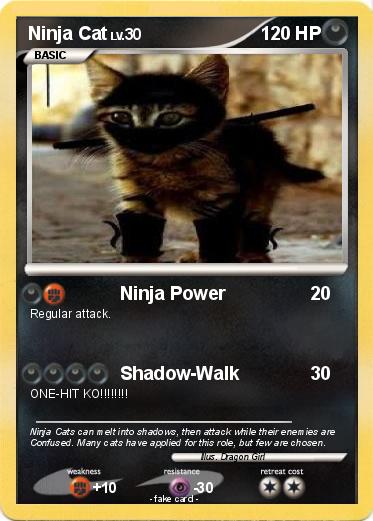 Pokemon Ninja Cat