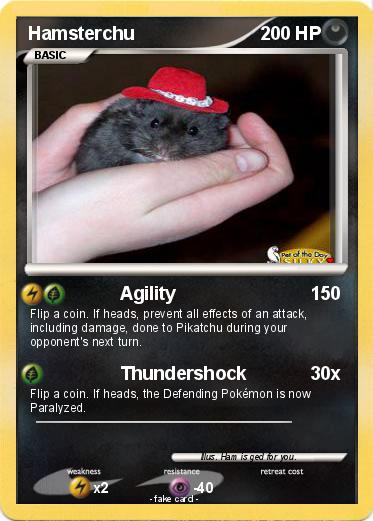 Pokemon Hamsterchu