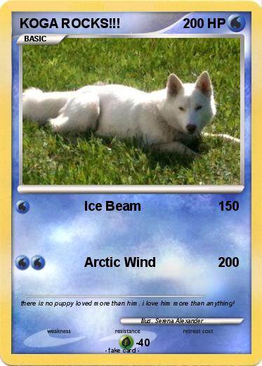 Pokemon KOGA ROCKS!!!