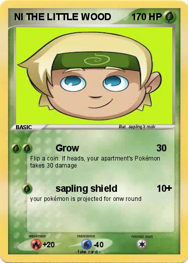 Pokemon NI THE LITTLE WOOD