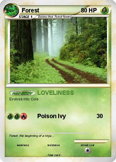 Pokemon Forest