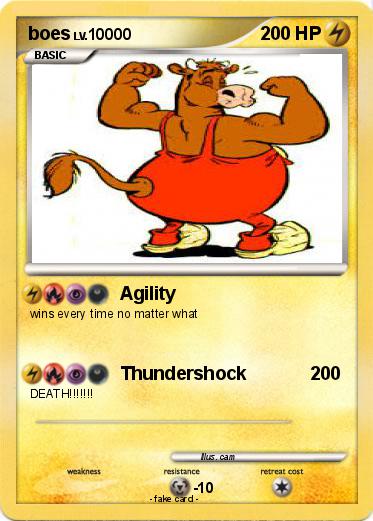 Pokemon boes