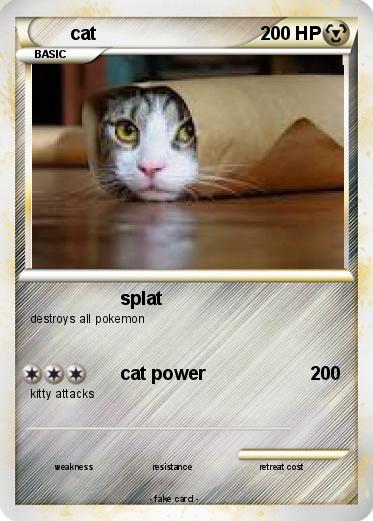 Pokemon cat